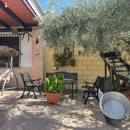 Casa Rural El Cuco Luque Екстер'єр фото