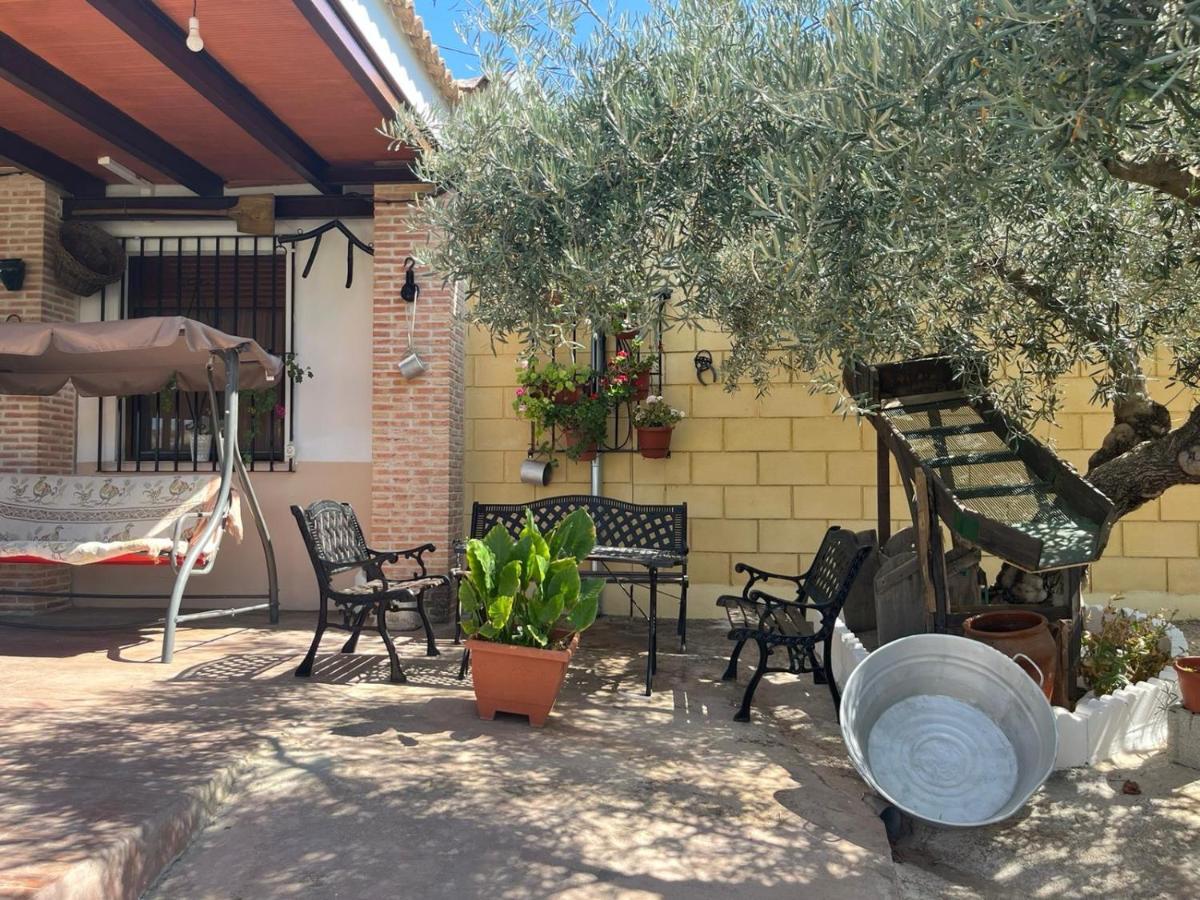 Casa Rural El Cuco Luque Екстер'єр фото